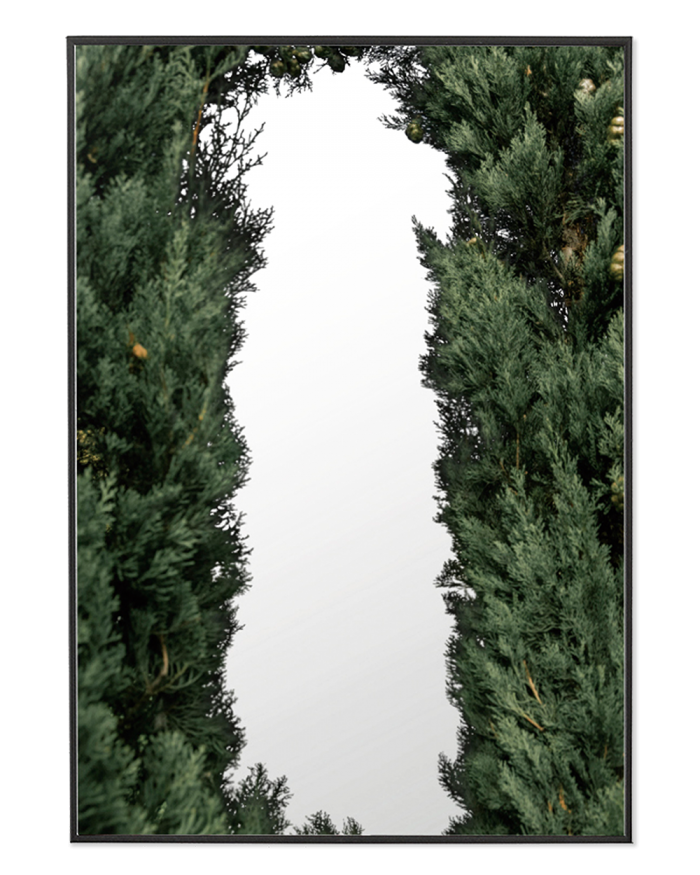[poster mirror] forest